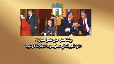 ورشة عمل حول ملحق معيار 13